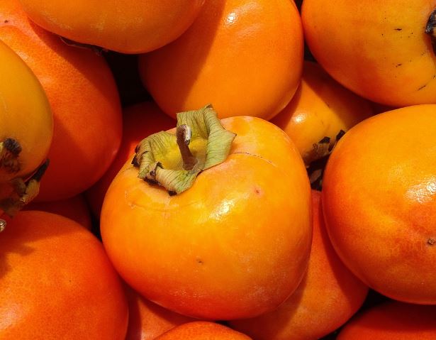 Dream about large persimmon : Meaning & Interpretations