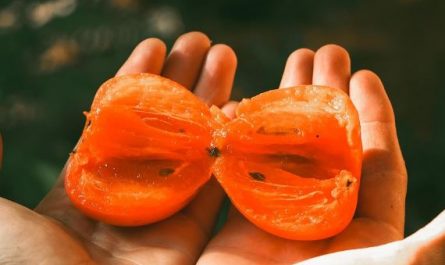 Dreaming of red persimmons : Meaning & Interpretations