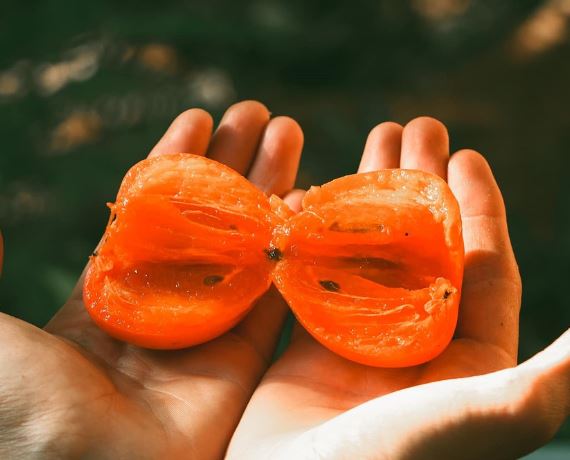 Dreaming of red persimmons : Meaning & Interpretations