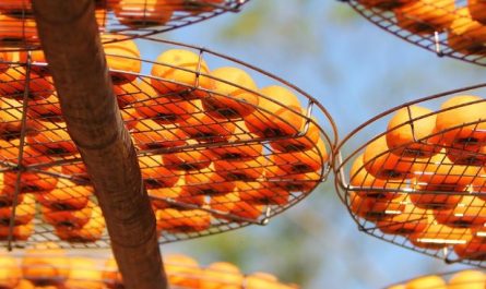 Dream about Eating red persimmons : Meaning & Interpretations