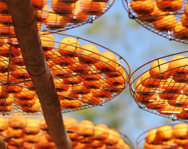 Dream about Eating red persimmons : Meaning & Interpretations