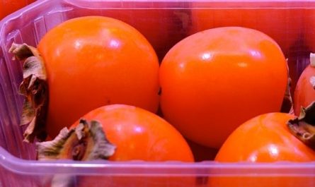 Dreaming of a big red persimmon : Meaning & Interpretations