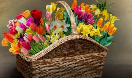 Dream about flower basket : Meaning & Interpretations