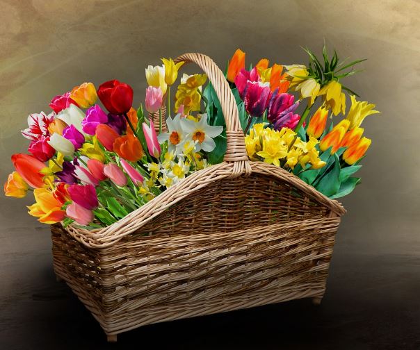 Dream about flower basket : Meaning & Interpretations