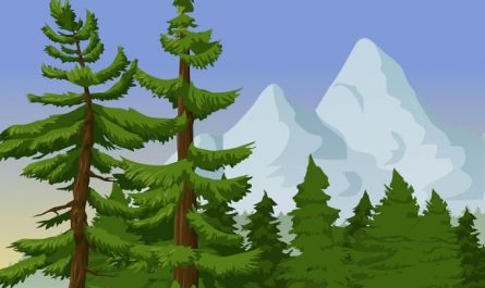 Dream about pine trees : Meaning & Interpretations