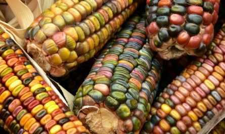Dream about boiled corn : Meaning & Interpretations