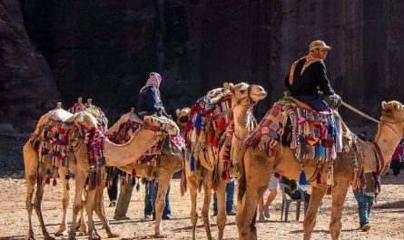 Dream about Camel : Meaning & Interpretations
