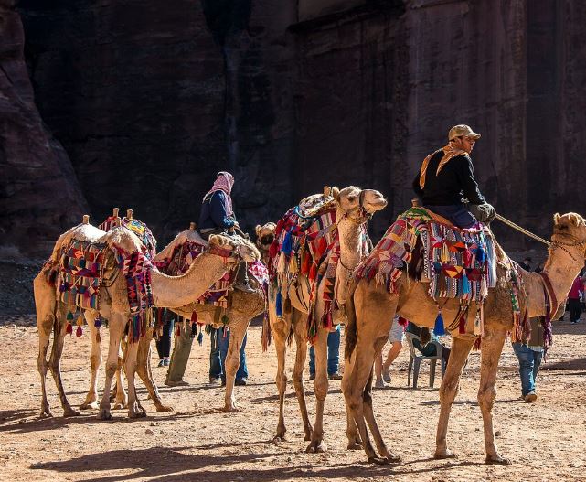 Dream about Camel : Meaning & Interpretations