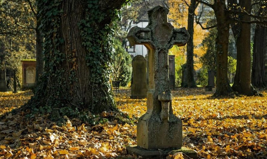 Dream about celebrity death : Meaning & Interpretations