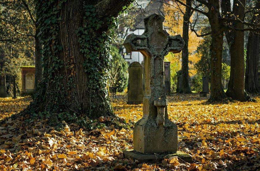 Dream about celebrity death : Meaning & Interpretations