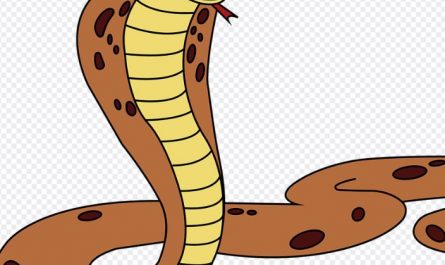 Dreaming of killing an orange snake : Meaning & Interpretations