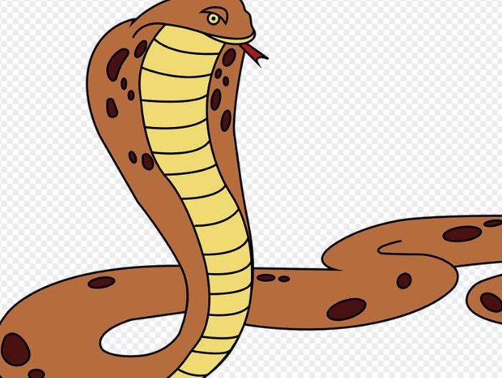 Dreaming of killing an orange snake : Meaning & Interpretations