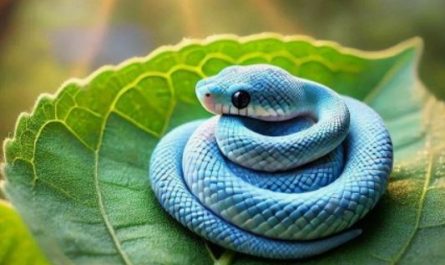 Dream about being bitten by a blue snake : Meaning & Interpretations