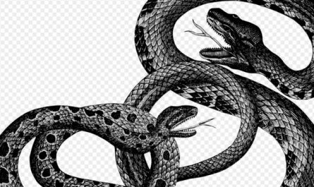 Dream about being bitten by a black snake : Meaning & Interpretations