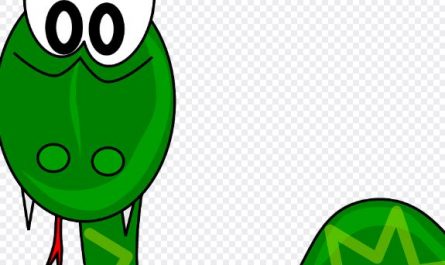 Dreaming of killing a python : Meaning & Interpretations