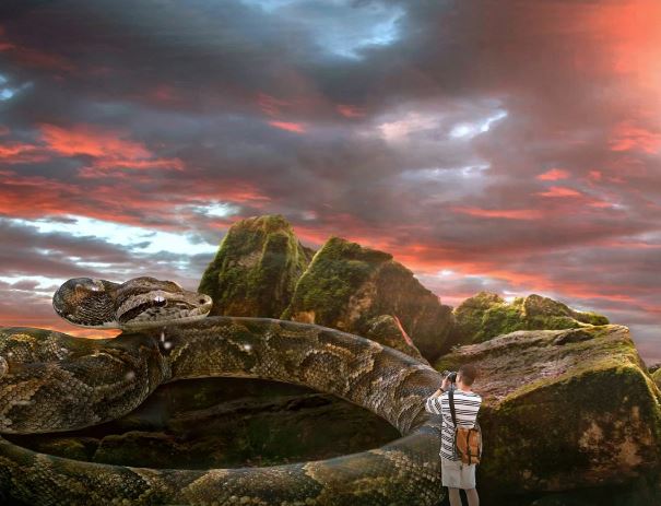 Dreaming of a giant snake : Meaning & Interpretations