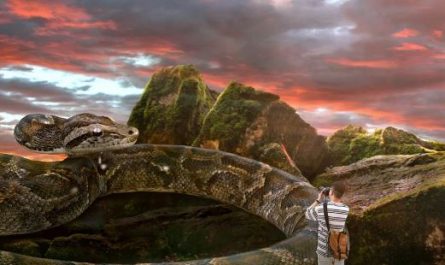 Dream about being bitten by a large snake : Meaning & Interpretations