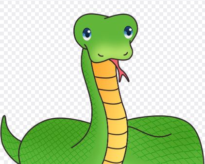 Dreaming of a beautiful snake : Meaning & Interpretations