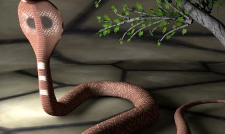 Dream about killing a king cobra : Meaning & Interpretations