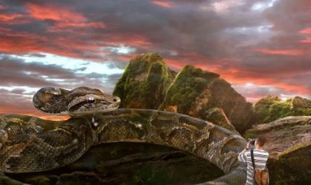 Dream about spotted snake : Meaning & Interpretations