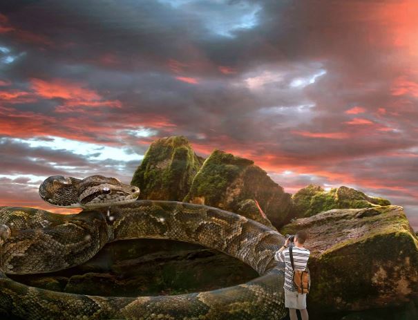 Dreaming of killing a giant python : Meaning & Interpretations