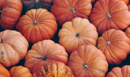 Dream about pumpkin : Meaning & Interpretations