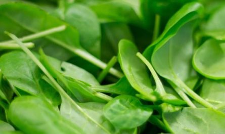 Dream about spinach : Meaning & Interpretations