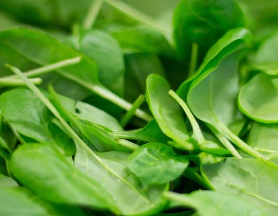 Dream about spinach : Meaning & Interpretations