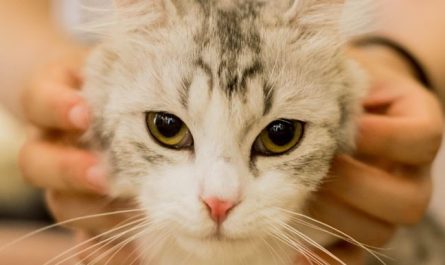 Dream about touching : Meaning & Interpretations