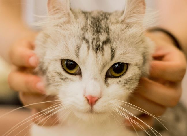 Dream about touching : Meaning & Interpretations