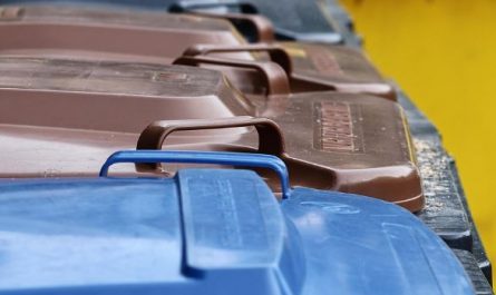 Dream about food waste : Meaning & Interpretations