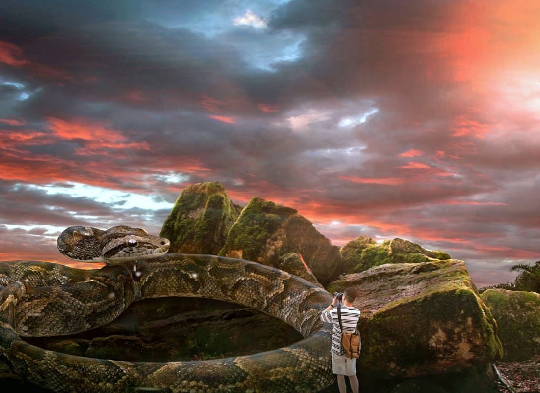 Dreaming of a big snake : 11 Meaning & Interpretations