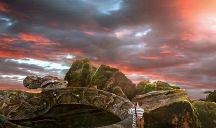 Dreaming of a big snake : 11 Meaning & Interpretations