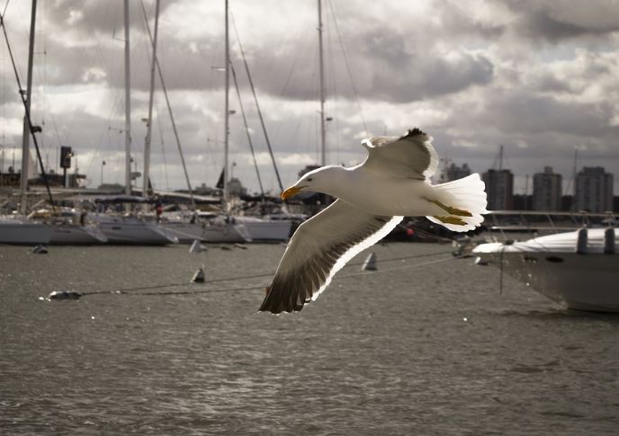 Dream about port  : 9 Meaning & Interpretations