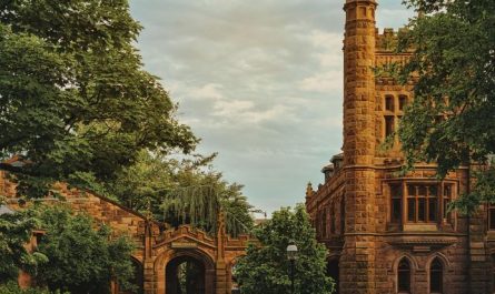 Dream about going back to school : 7 Meaning & Interpretations