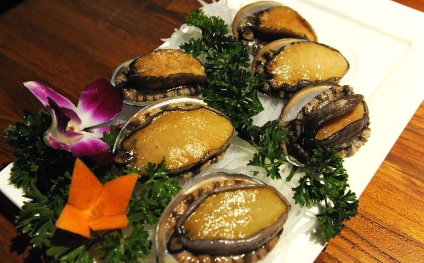 Dream about abalone : 12 Meaning & Interpretations