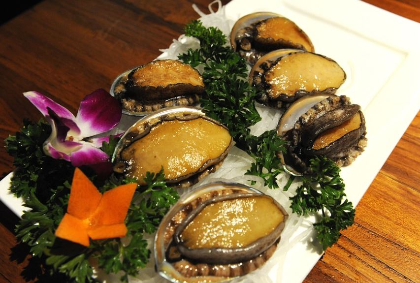 Dream about abalone : 12 Meaning & Interpretations