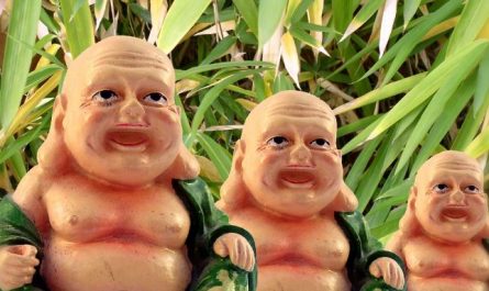 Dreaming of Triplets : 10 Meaning & Interpretations