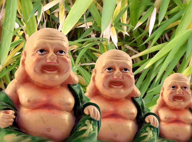 Dreaming of Triplets : 10 Meaning & Interpretations