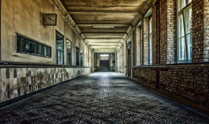 Dreaming of a Corridor : 19 Meaning & Interpretations