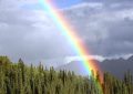 9 Interpretations of Dreaming of Rainbows