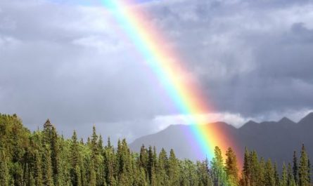 9 Interpretations of Dreaming of Rainbows