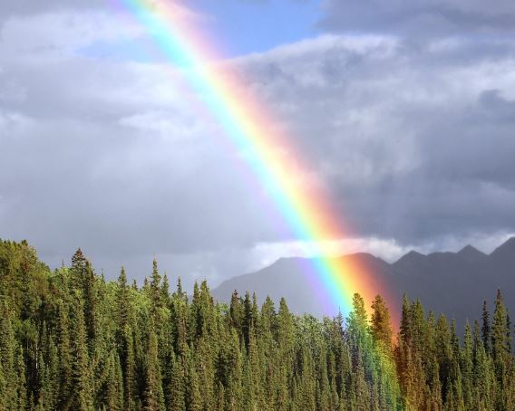 9 Interpretations of Dreaming of Rainbows