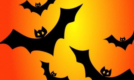 15 Interpretations of Dreams about Bats