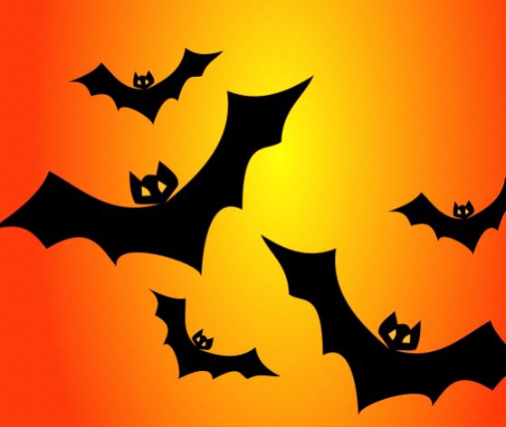 15 Interpretations of Dreams about Bats