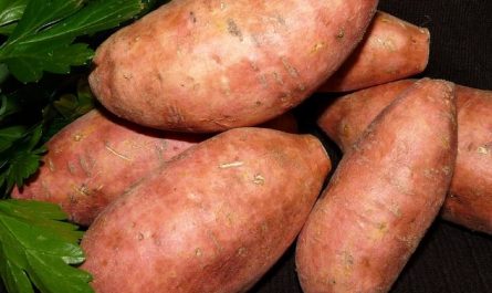 16 Interpretations of Dreaming about Sweet Potatoes