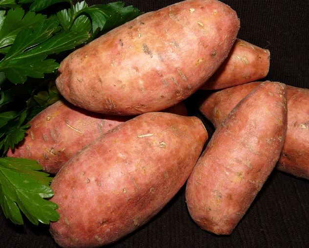 16 Interpretations of Dreaming about Sweet Potatoes