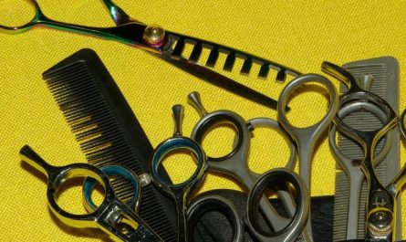 12 Interpretations of Dreams about Combs