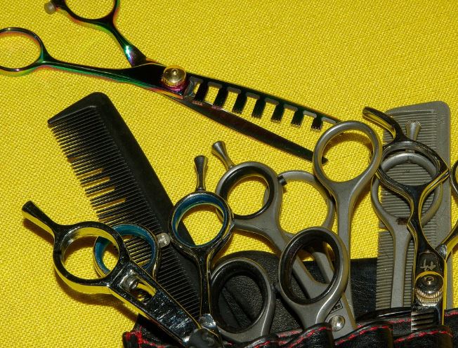 12 Interpretations of Dreams about Combs