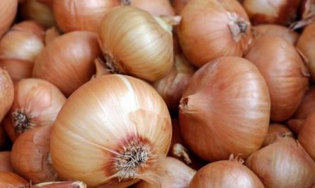 13 Interpretations of Dreaming about Onions